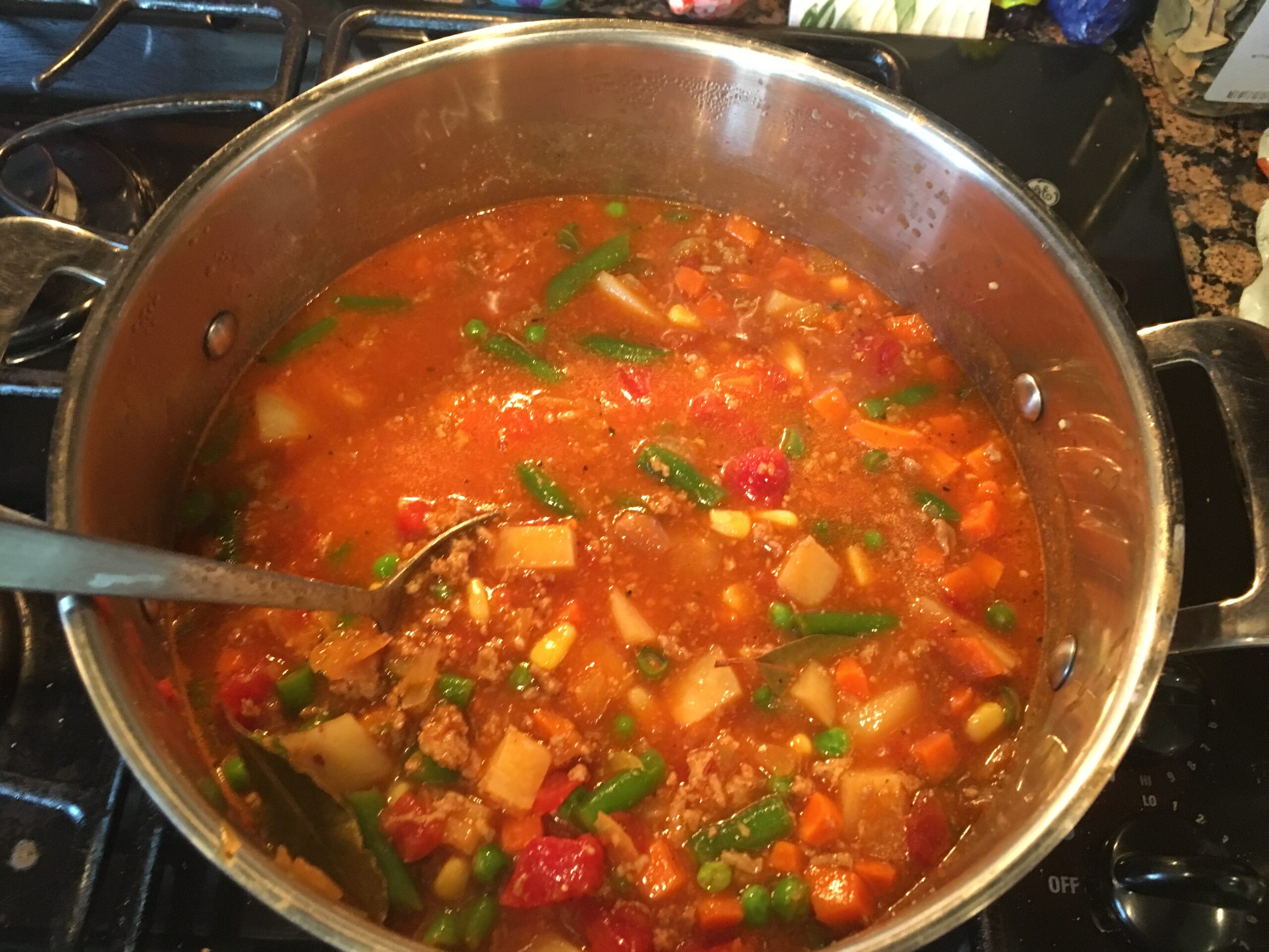 Homemade Turkey and Vegetable Soup